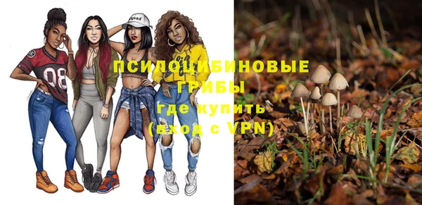 ALPHA PVP Медвежьегорск