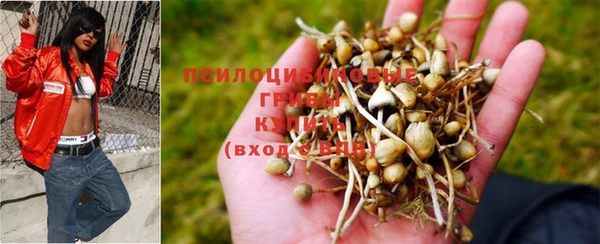 Альфа ПВП Магас
