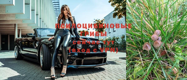 Альфа ПВП Магас