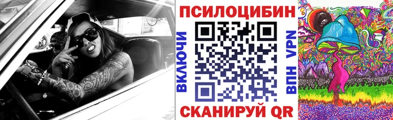Купить закладки  Ильский  Галлюциногенные грибы GOLDEN TEACHER 